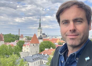 Smart Cities y poder estatal: lecciones desde Finlandia y Estonia. 